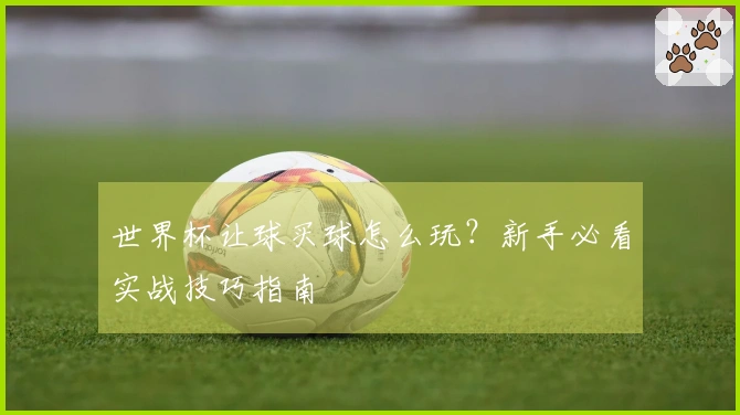 世界杯让球买球怎么玩？新手必看实战技巧指南