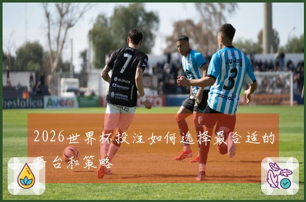 2026世界杯投注如何选择最合适的平台和策略
