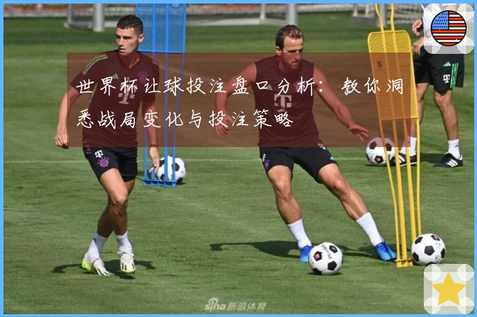 世界杯让球投注盘口分析：教你洞悉战局变化与投注策略