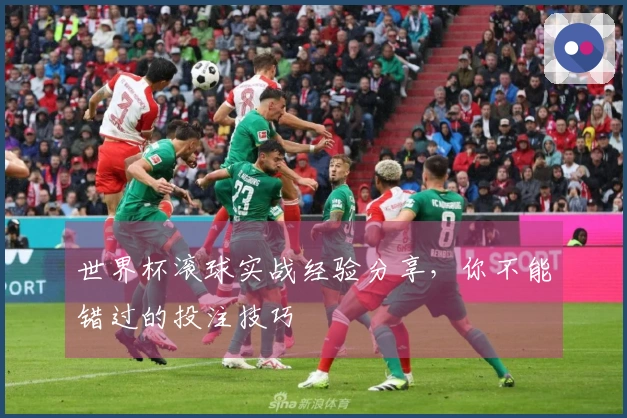 世界杯滚球实战经验分享，你不能错过的投注技巧