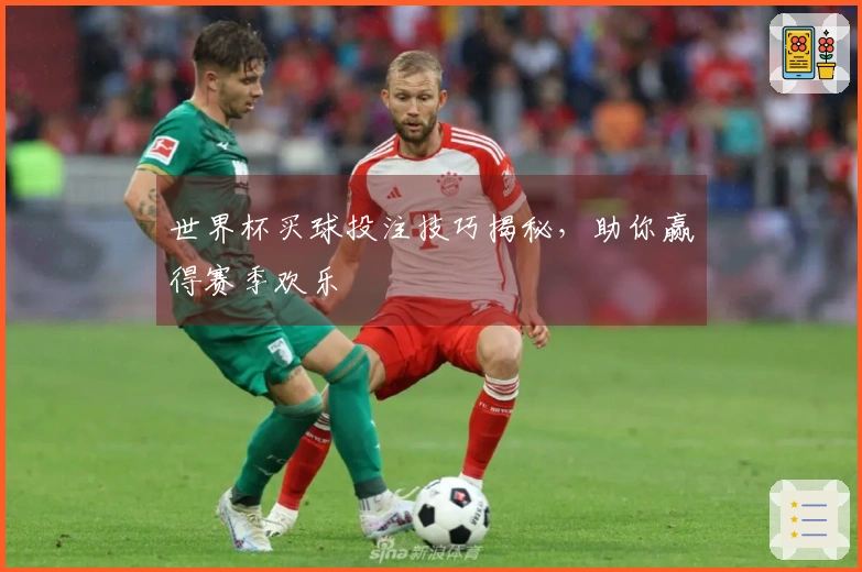 世界杯买球投注技巧揭秘，助你赢得赛季欢乐