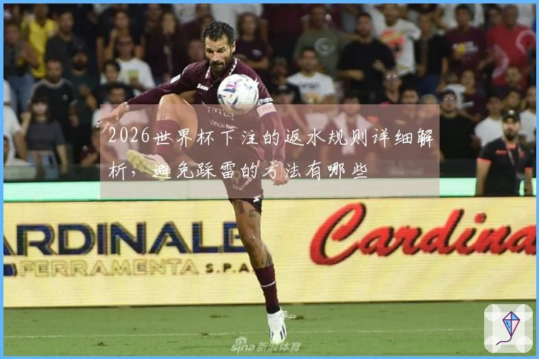 2026世界杯下注的返水规则详细解析，避免踩雷的方法有哪些