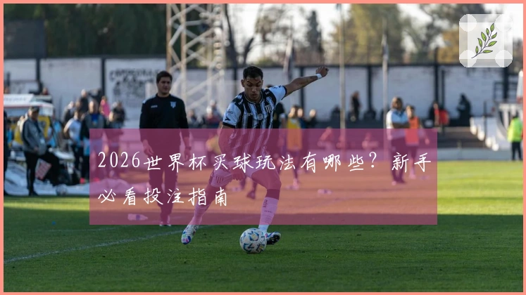 2026世界杯买球玩法有哪些？新手必看投注指南