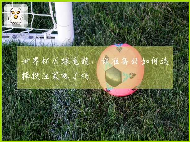 世界杯买球竞猜，你准备好如何选择投注策略了吗