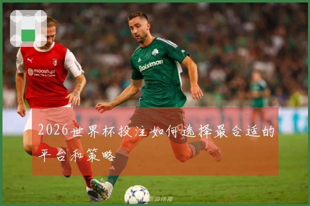 2026世界杯投注如何选择最合适的平台和策略