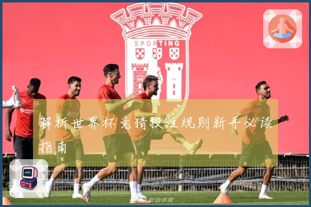 解析世界杯竞猜投注规则新手必读指南