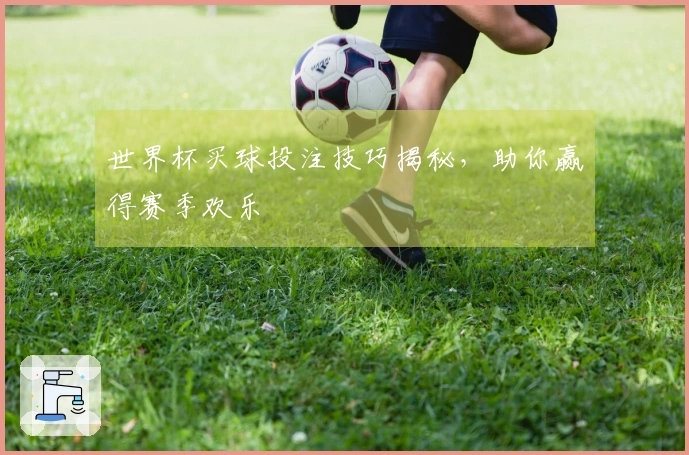 世界杯买球投注技巧揭秘，助你赢得赛季欢乐