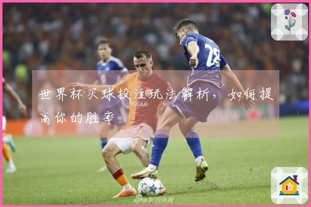 世界杯买球投注玩法解析，如何提高你的胜率